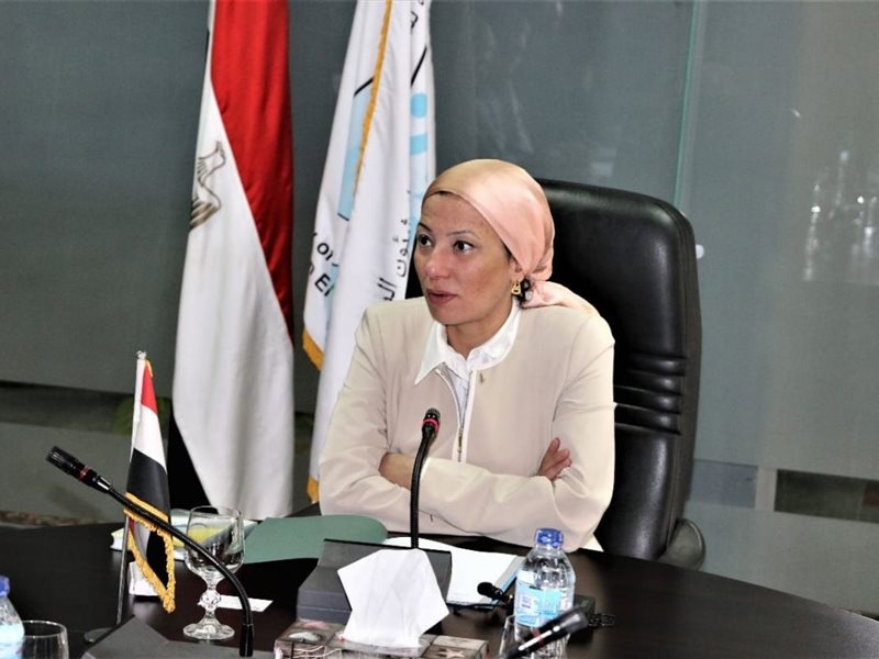 ياسمين فؤاد وزيرة