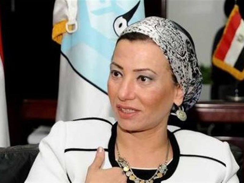 ياسمين فؤاد وزيرة