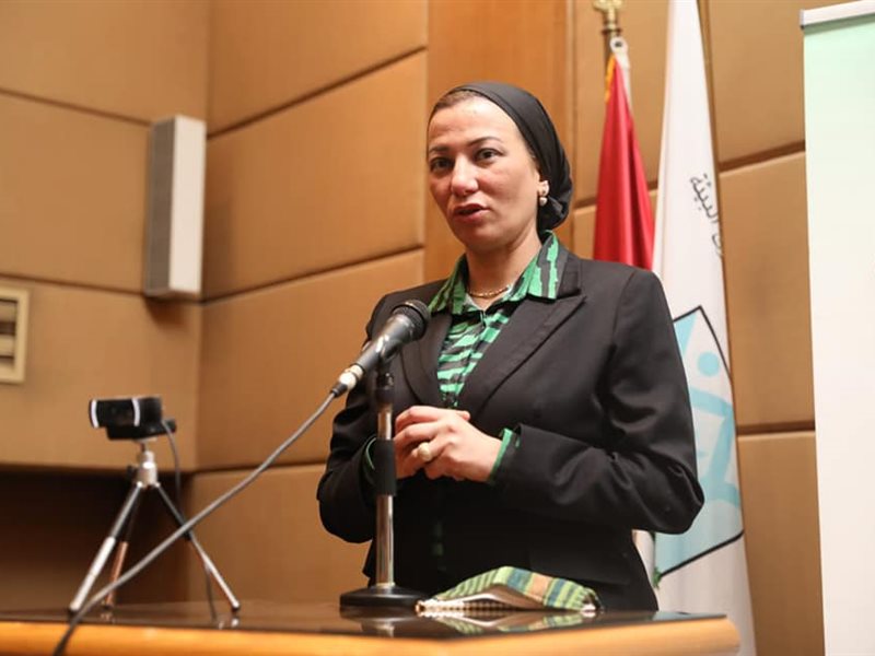 ياسمين فؤاد وزيرة