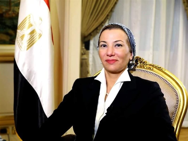 ياسمين فؤاد وزيرة