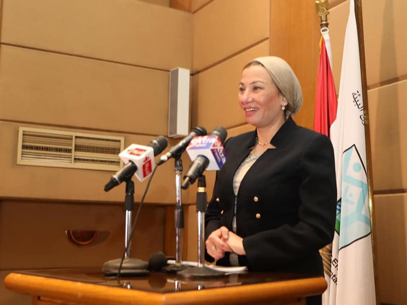 ياسمين فؤاد وزيرة