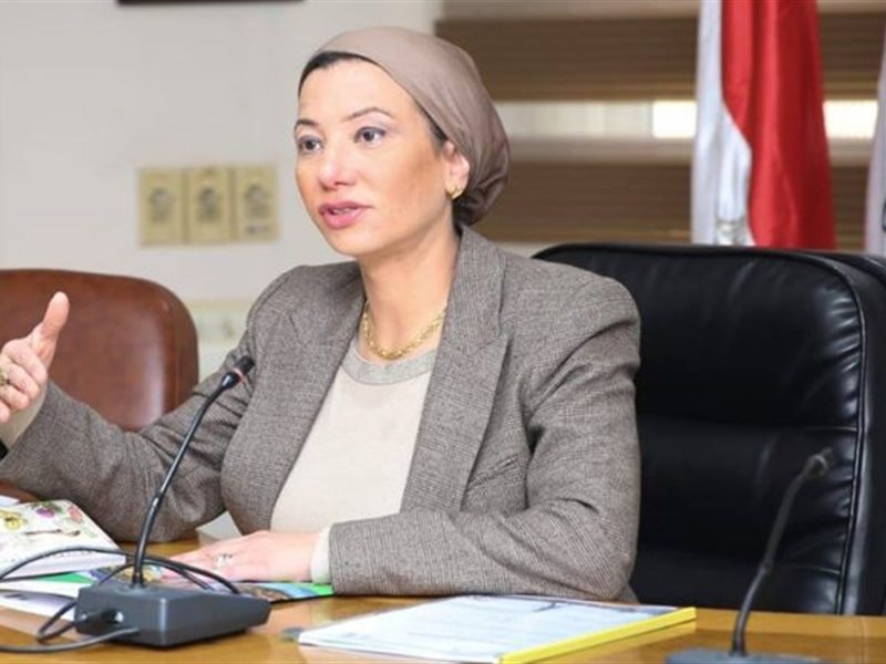 ياسمين فؤاد وزيرة