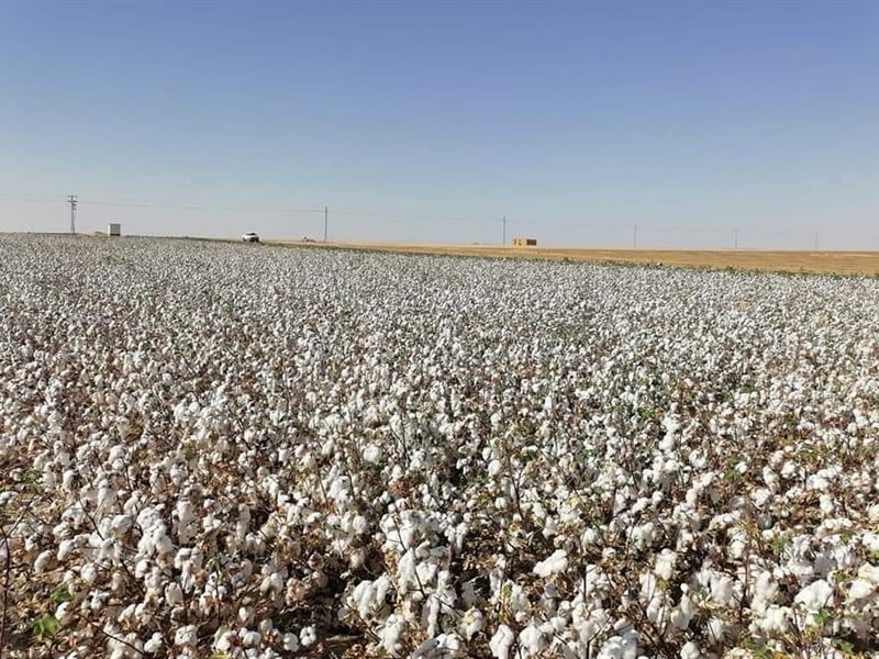 سمارت فاينانس