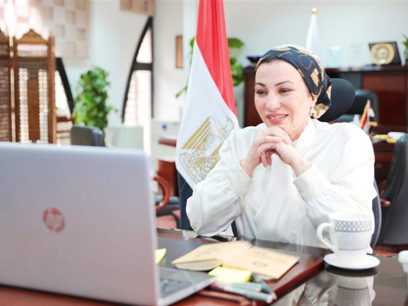 ياسمين فؤاد وزيرة