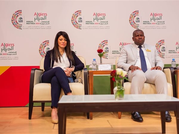 المشاط: الابتكار وريادة الأعمال ركيزتان أساسيتان لتجاوز 