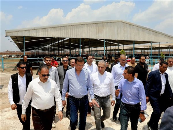 البنك الزراعي المصري يمول شراء 2000 رأس ماشية بقيمة 395 مليون جنيه لصالح 188 من صغار المربين بالشرقية