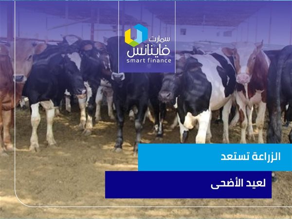 الزراعة تستعد لعيد الأضحى | إنفوجراف