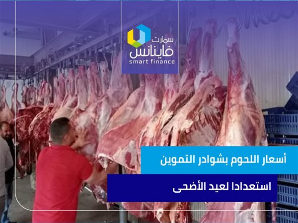 أسعار اللحوم بشوادر التموين استعدادا لعيد الأضحى | إنفوجراف