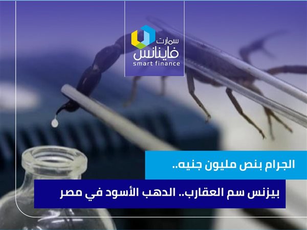 الجرام بنص مليون جنيه.. بيزنس سم العقارب.. الدهب الأسود في مصر