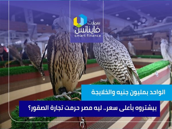 الواحد بمليون جنيه والخلايجة بيشتروه بأعلى سعر.. ليه مصر حرمت تجارة الصقور؟