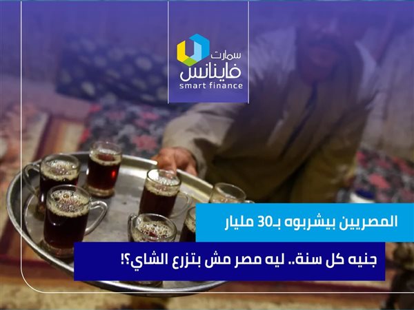 المصريين بيشربوه بـ30 مليار جنيه كل سنة.. ليه مصر مش بتزرع الشاي؟!