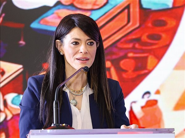 وزيرة التخطيط: 