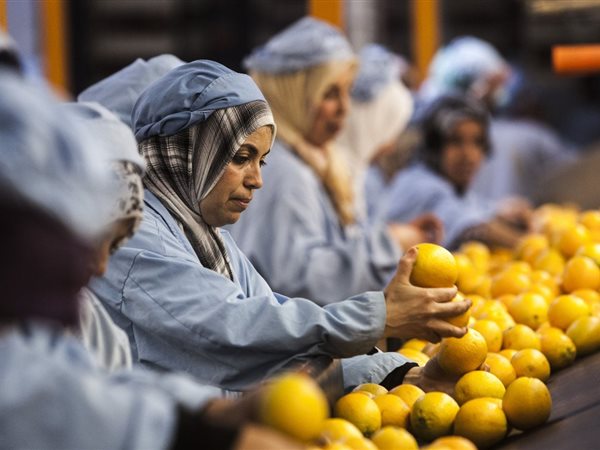 خسائر «النصر لتصنيع الحاصلات الزراعية» ترتفع 19% خلال 9 أشهر مع غياب المبيعات