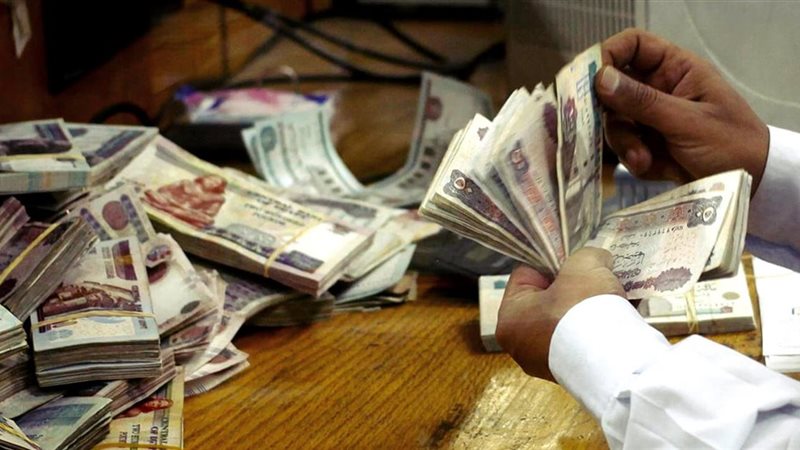 الأوعية الإدخارية 