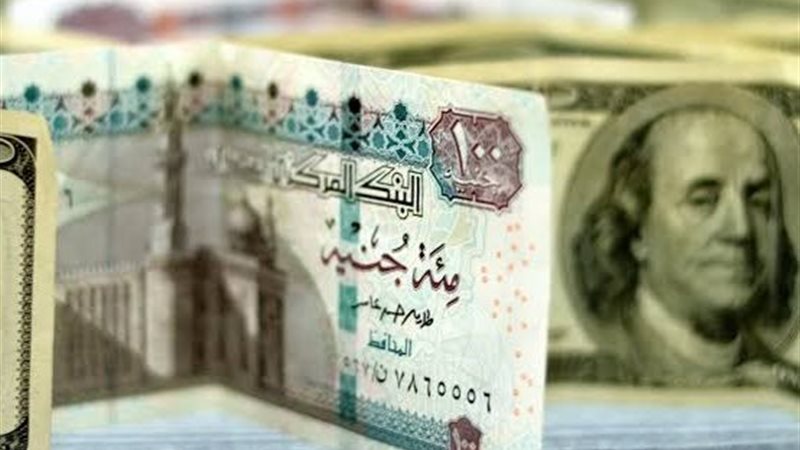 الجنيه المصري