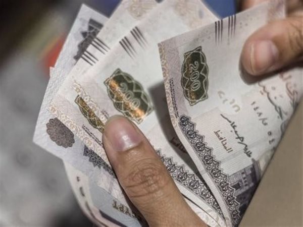 موعد صرف معاشات نوفمبر 2025 في مصر.. وهذه هي طريقة الاستعلام
