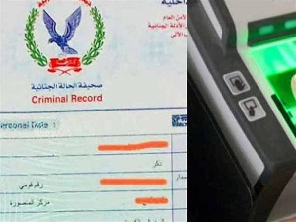 كيفية استخراج الفيش والتشبيه أونلاين بخطوات بسيطة؟