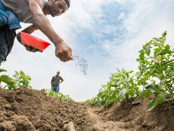 وزير الزراعة: أزمة الأسمدة بسبب توقف المصانع.. والمخزون الاحتياطي أنقذ الموسم