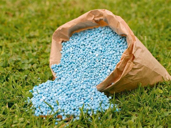 أسعار الأسمدة تشتعل في مصر.. طفرة في التصدير ومعاناة في الداخل