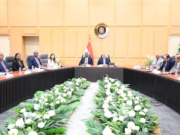 وزير الصناعة يعقد جلسة مباحثات مع وزير التخطيط بجمهورية الكونغو الديمقراطية