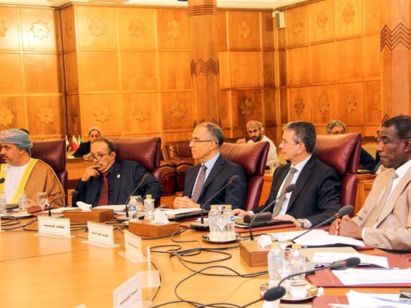 أموي: نتطلع إلى استراتيجية عربية مشتركة للتعاون  الجمركي والإداري