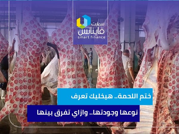 ختم اللحمة.. هيخليك تعرف نوعها وجودتها.. وازاي تفرق بينها