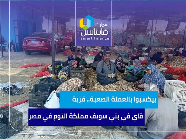 بيكسبوا بالعملة الصعبة.. قرية قاي في بني سويف مملكة التوم في مصر