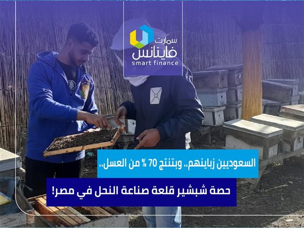السعوديين زباينهم.. وبتنتج 70% من العسل.. حصة شبشير قلعة صناعة النحل في مصر!