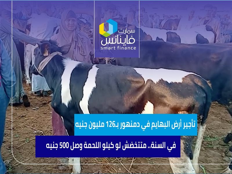 سوق المواشي