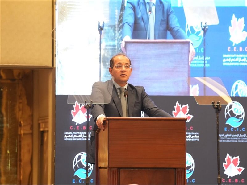 أحمد كجوك وزير المالية