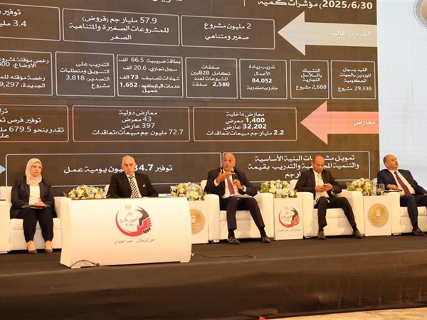 باسل رحمي: نعمل على تهيئة البيئة الملائمة للخبرات المصرية العائدة من الخارج