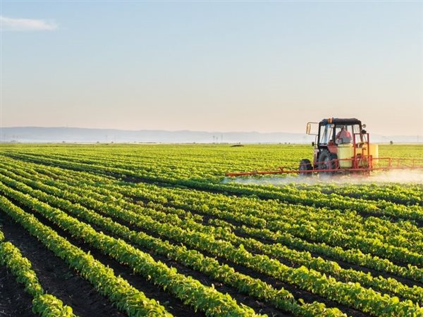 الإحصاء: 610.8 ألف فدان إجمالي مساحة الأراضي المستصلحة عام 2023 / 2024