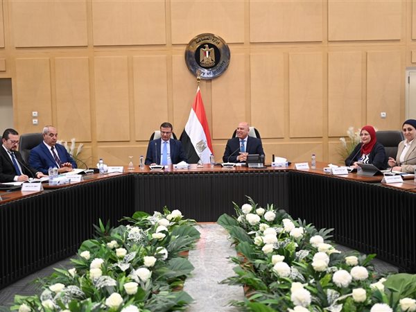 وزير الصناعة ووزير الزراعة يبحثان التوسع في تصنيع الزبيب وتوطين صناعة الكتان