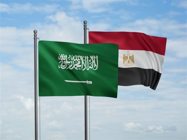 الإحصاء: 5.9 مليار دولار قيمة التبادل التجاري بين مصر والسعودية خلال النصف الأول من 2025