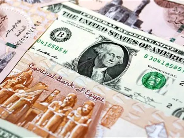 الجنيه المصري يتراجع 10 قروش أمام الدولار في تعاملات الأحد