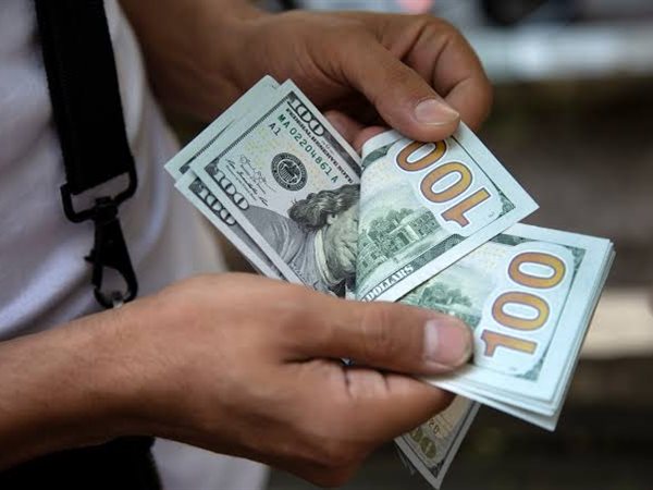 استقرار سعر الدولار أمام الجنيه بختام تعاملات الأربعاء بالبنك المركزي