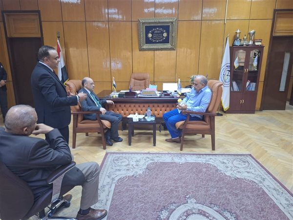 وزير الكهرباء يتابع مستجدات تنفيذ مشروعات توطين صناعة بطاريات أيون الليثيوم