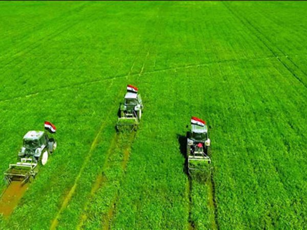 مصر تحول الصحراء إلى جنة.. كيف استصلحت مصر ثلث أراضيها في 8 سنوات فقط؟!