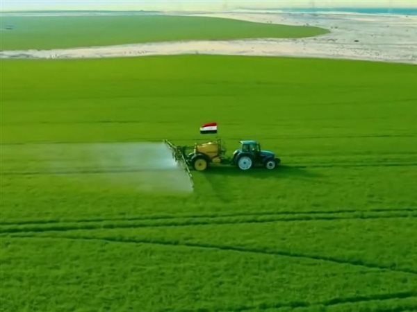 الصحراء تنبت ذهبًا.. طفرة غير مسبوقة بالرقعة الزراعية في مصر باستثمارات تقارب 145 مليار جنيه