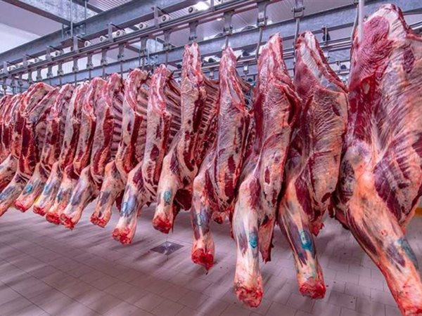 تطمينات من «الفلاحين» و«القصابين»: لا زيادات في اللحوم.. والحمى القلاعية تحت السيطرة