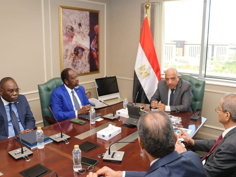 وزير الكهرباء