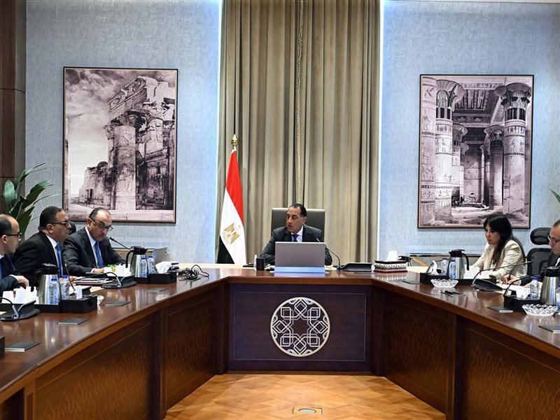 مدبولي مع وزير قطاع