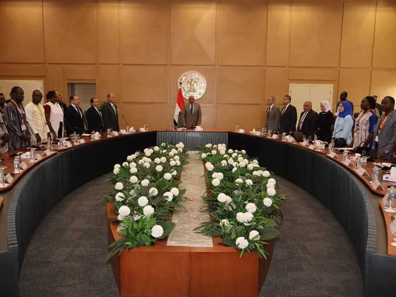 وزير الكهرباء