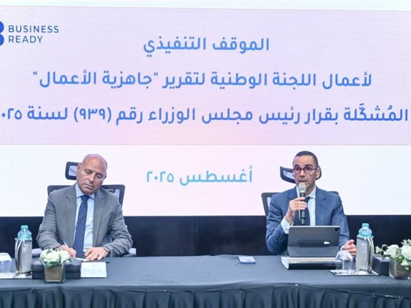 وزير الاستثمار