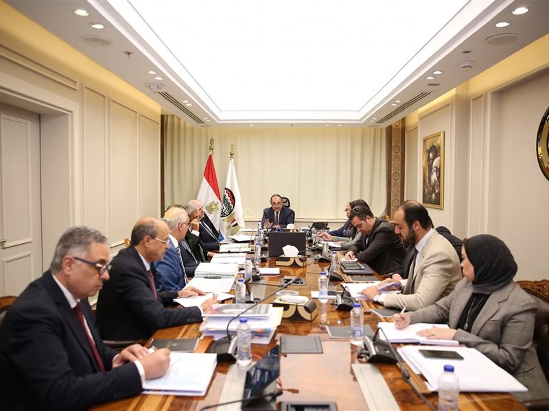 وزير قطاع الأعمال