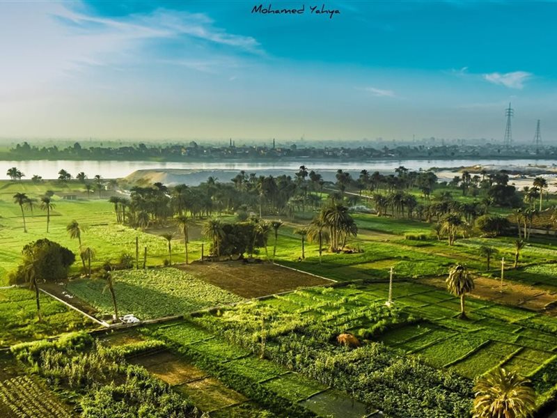 تنمية الريف المصري