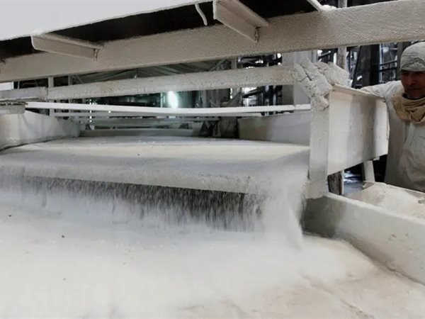 مع بداية موسم إنتاج السكر.. أزمة جديدة تواجه المنتج المحلي | ما هي الأسباب؟