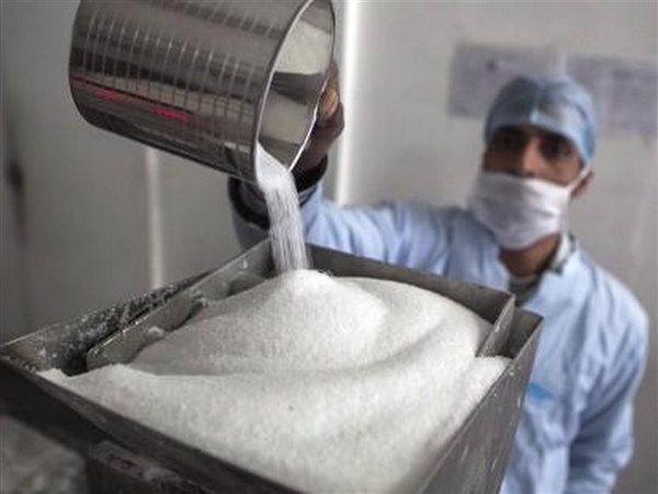 صناعة السكر في مصر.. طفرة إنتاجية تجعل القاهرة المنتج الأكبر في أفريقيا