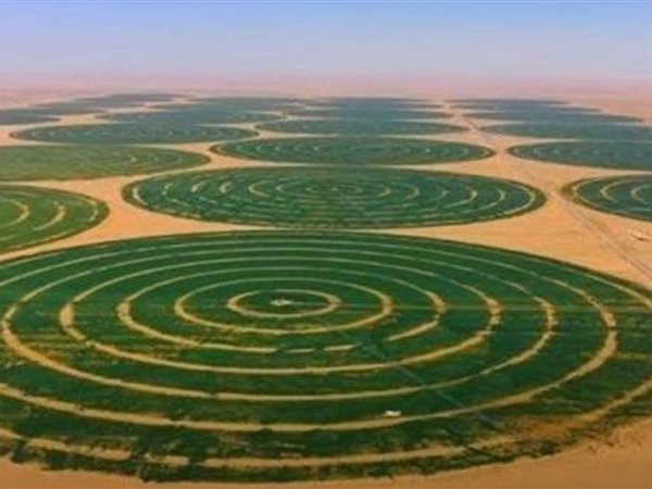 مصر تنفذ المشروع الأضخم في العالم.. قناة الدلتا الجديدة لزراعة الصحراء الغربية