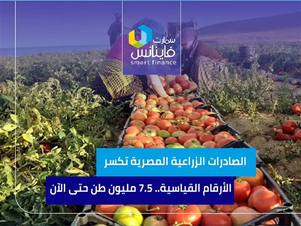 الصادرات الزراعية المصرية تكسر الأرقام القياسية.. 7.5 مليون طن حتى الآن